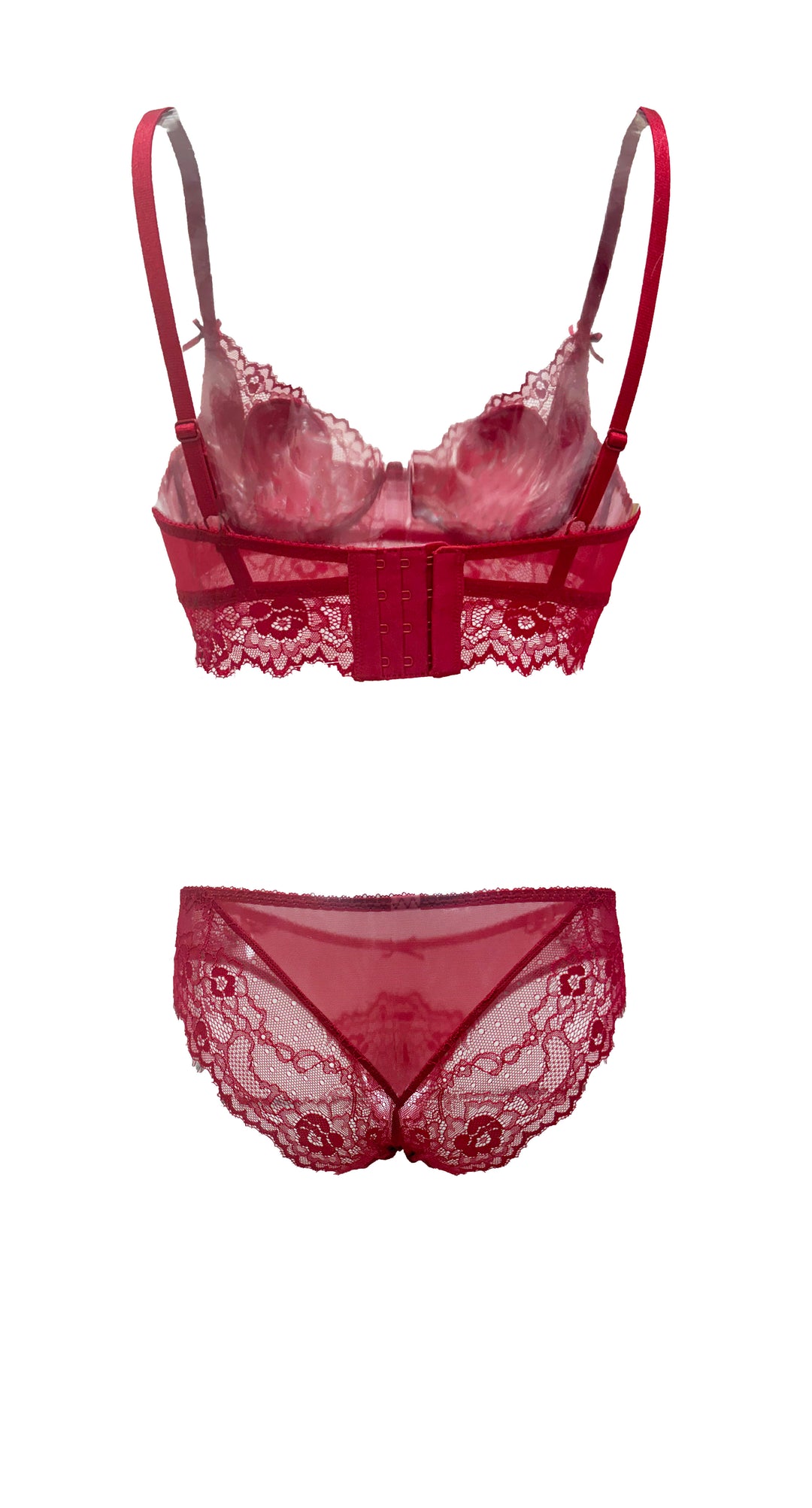 Ruby Nocturne Lace and Mesh Bikini Panty