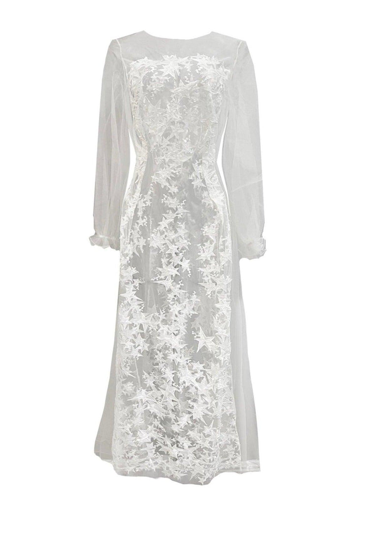 Star Embroidered Tulle Sheer Long Gown - Carol Coelho Intimates